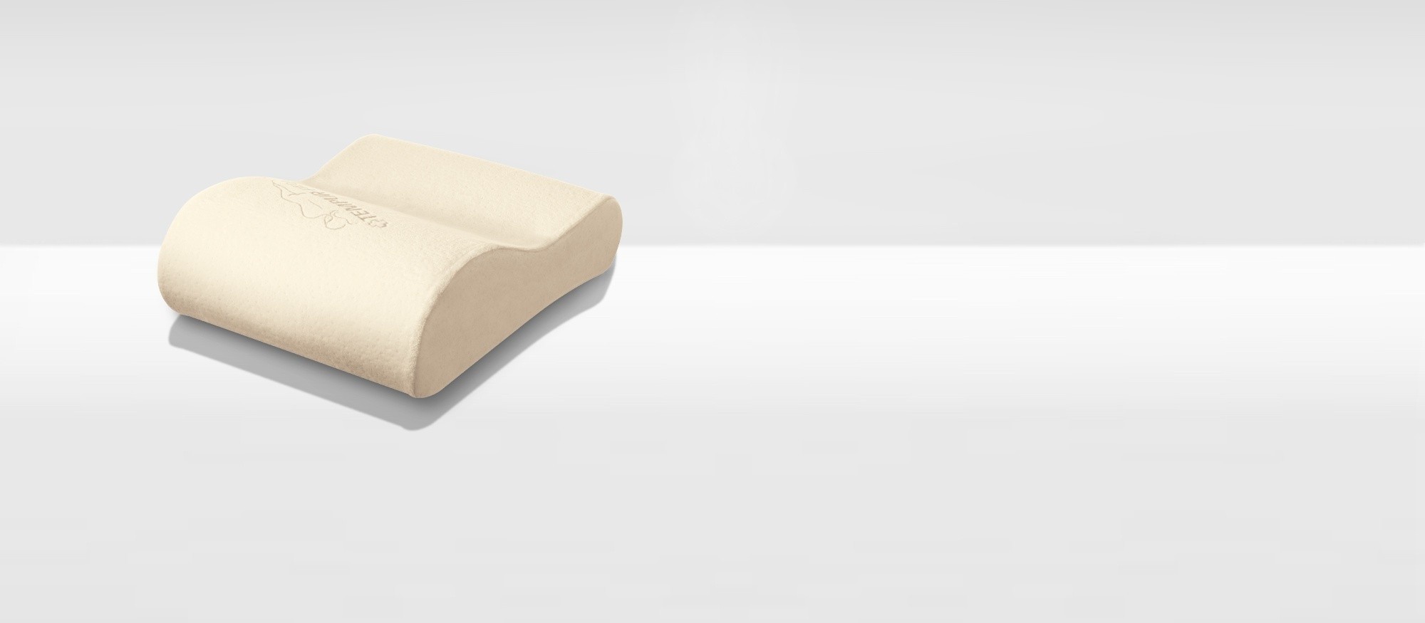 Neck Travel Pillow Desktop