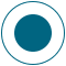 blue circle icon
