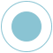 light blue circle icon